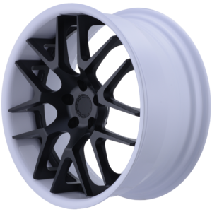 XYZ Forged HLS Series — design HLS-10